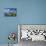 Smeaton's Tower on The Hoe overlooks The Sound, Plymouth, Devon, England, United Kingdom, Europe-Rob Cousins-Photographic Print displayed on a wall