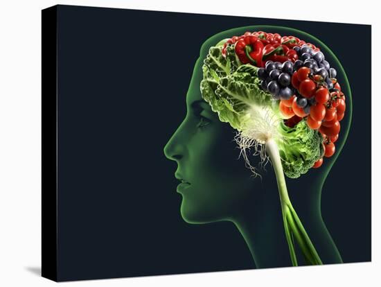 Stretched Canvas Print, , large