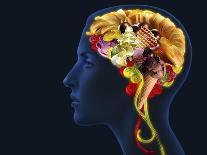 Brain Food, Conceptual Image-SMETEK-Photographic Print