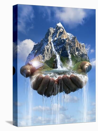 Stretched Canvas Print, , large