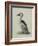 Smew, Illustration from 'A History of British Birds' by William Yarrell, c.1905-10-Edward Adrian Wilson-Framed Giclee Print