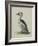 Smew, Illustration from 'A History of British Birds' by William Yarrell, c.1905-10-Edward Adrian Wilson-Framed Giclee Print