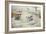 Smew-Carl Donner-Framed Giclee Print