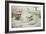 Smew-Carl Donner-Framed Giclee Print