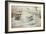 Smew-Carl Donner-Framed Giclee Print