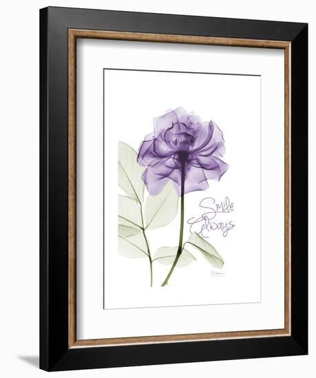 Smile Always Rose-Albert Koetsier-Framed Art Print