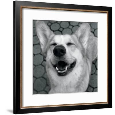 Smile And The World Smiles With You Crop Dark Photo Jim Dratfield Art Com