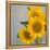 Smile: Sunflower Bouquet-Nicole Katano-Framed Stretched Canvas