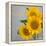 Smile: Sunflower Bouquet-Nicole Katano-Framed Stretched Canvas