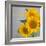 Smile: Sunflower Bouquet-Nicole Katano-Framed Photo