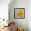 Smile: Sunflower Bouquet-Nicole Katano-Framed Photo displayed on a wall