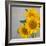 Smile: Sunflower Bouquet-Nicole Katano-Framed Photo