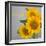 Smile: Sunflower Bouquet-Nicole Katano-Framed Photo