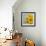 Smile: Sunflower Bouquet-Nicole Katano-Framed Photo displayed on a wall