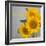 Smile: Sunflower Bouquet-Nicole Katano-Framed Photo