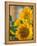 Smile: Sunny Sunflower-Nicole Katano-Framed Stretched Canvas