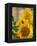 Smile: Sunny Sunflower-Nicole Katano-Framed Stretched Canvas