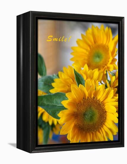 Smile: Sunny Sunflower-Nicole Katano-Framed Stretched Canvas