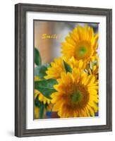 Smile: Sunny Sunflower-Nicole Katano-Framed Photo