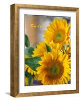 Smile: Sunny Sunflower-Nicole Katano-Framed Photo