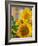 Smile: Sunny Sunflower-Nicole Katano-Framed Photo