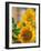 Smile: Sunny Sunflower-Nicole Katano-Framed Photo