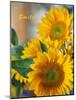 Smile: Sunny Sunflower-Nicole Katano-Mounted Photo