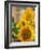 Smile: Sunny Sunflower-Nicole Katano-Framed Photo