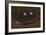 Smilin Eyes 4-Tim Nyberg-Framed Giclee Print