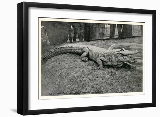 Smiling Alligator-null-Framed Premium Giclee Print