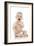 Smiling Baby Boy-Ruth Jenkinson-Framed Photographic Print