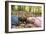 Smiling Children Lying on Autumn Leaves-Ian Boddy-Framed Photographic Print