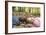 Smiling Children Lying on Autumn Leaves-Ian Boddy-Framed Photographic Print