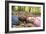 Smiling Children Lying on Autumn Leaves-Ian Boddy-Framed Photographic Print