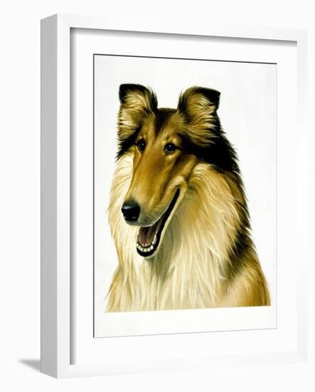 Smiling Colli-Harro Maass-Framed Giclee Print