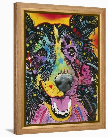 Smiling Collie-Dean Russo-Framed Premier Image Canvas