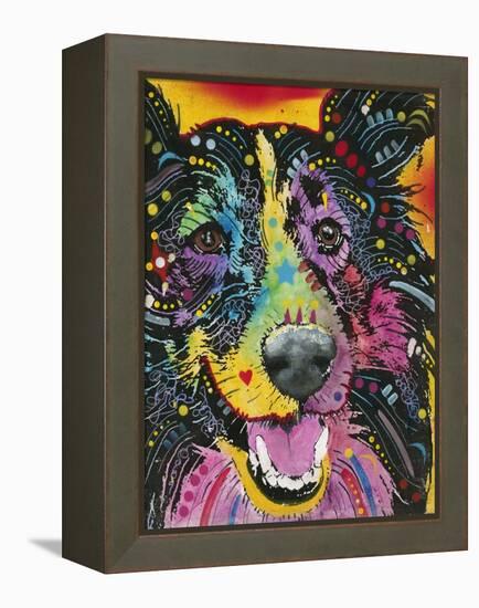 Smiling Collie-Dean Russo-Framed Premier Image Canvas