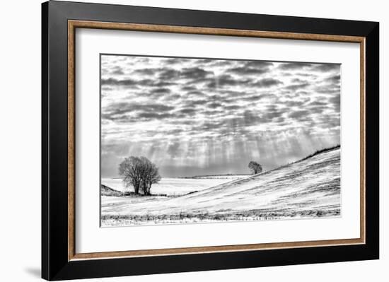 Smiling Down-Trent Foltz-Framed Art Print