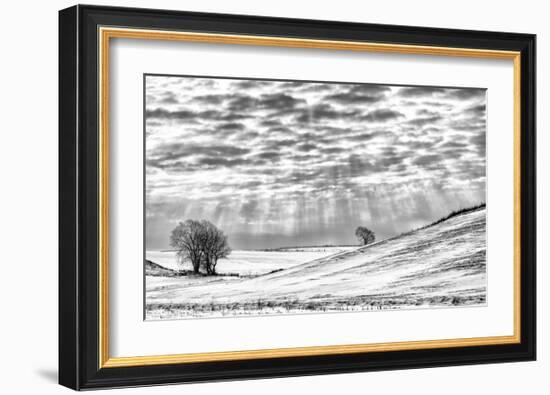 Smiling Down-Trent Foltz-Framed Art Print