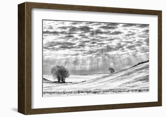 Smiling Down-Trent Foltz-Framed Art Print