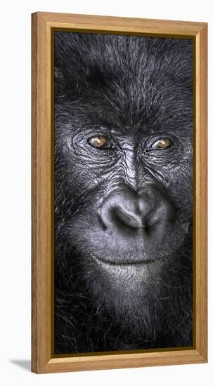 Smiling-Art Wolfe-Framed Premier Image Canvas