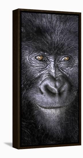 Smiling-Art Wolfe-Framed Premier Image Canvas