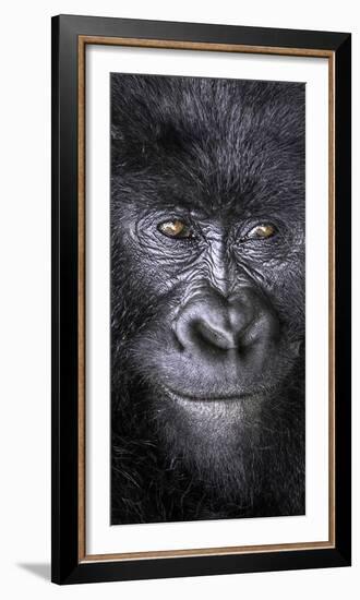 Smiling-Art Wolfe-Framed Photographic Print