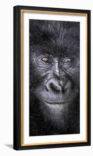 Smiling-Art Wolfe-Framed Photographic Print