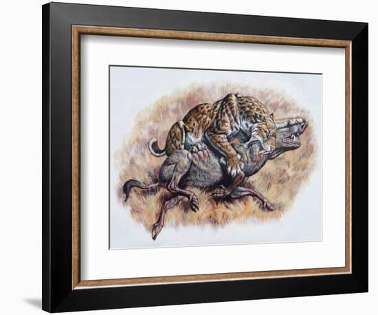 Smilodon (Dirk Sabertooth) Killing a Platygonus-null-Framed Art Print