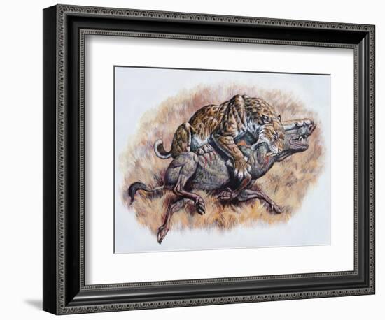 Smilodon (Dirk Sabertooth) Killing a Platygonus-null-Framed Art Print