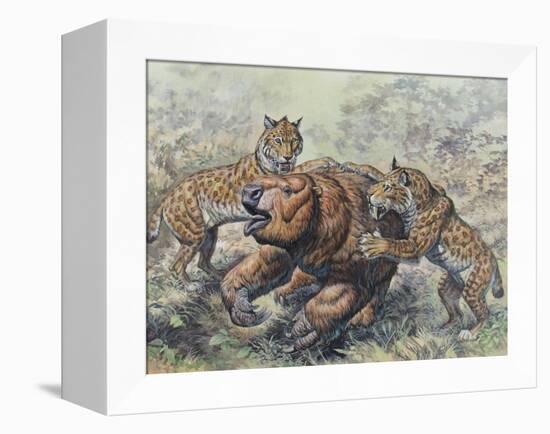 Smilodon Dirk-Toothed Cats Attacking a Glossotherium-null-Framed Stretched Canvas