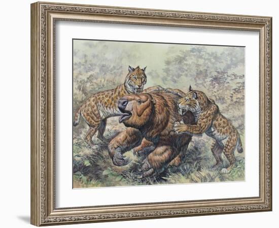 Smilodon Dirk-Toothed Cats Attacking a Glossotherium-null-Framed Art Print