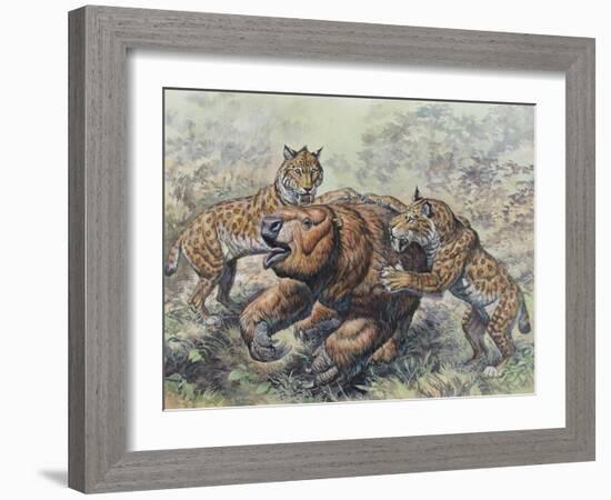 Smilodon Dirk-Toothed Cats Attacking a Glossotherium-null-Framed Art Print