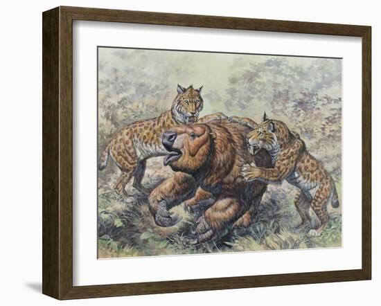 Smilodon Dirk-Toothed Cats Attacking a Glossotherium-null-Framed Art Print